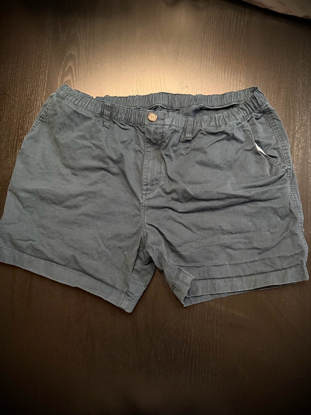 chubbies Navy and Light Blue Lined Shorts